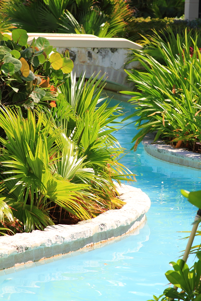 IMAGE: http://www.parkhillstudios.com/potn/tci/2.JPG