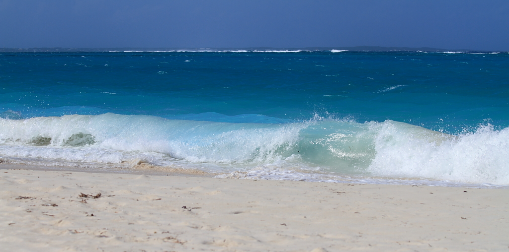 IMAGE: http://www.parkhillstudios.com/potn/tci/4.JPG