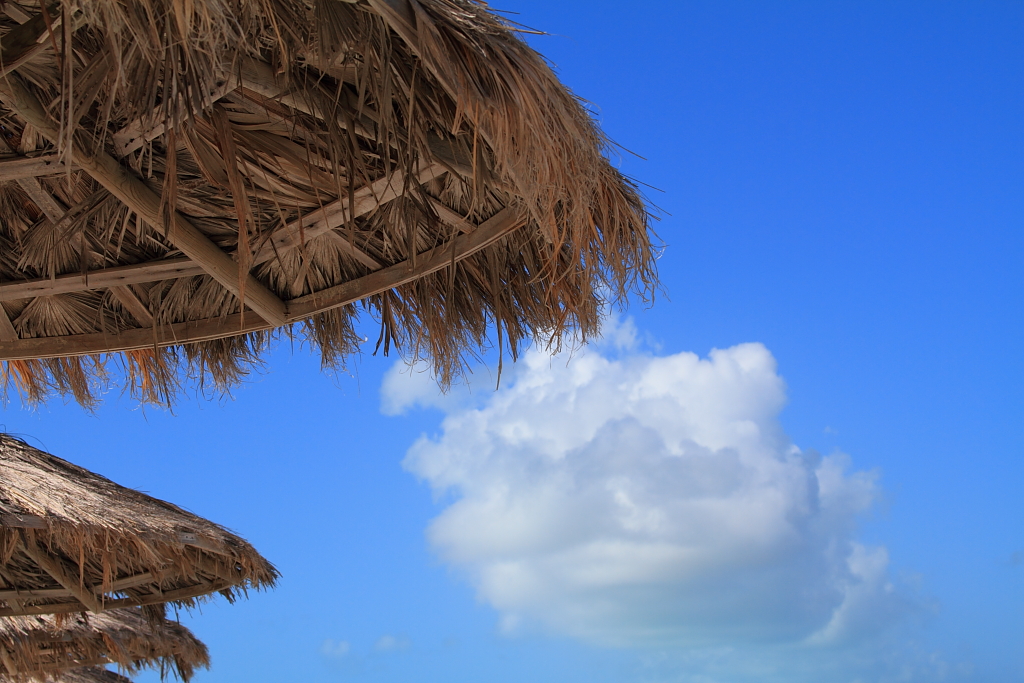 IMAGE: http://www.parkhillstudios.com/potn/tci/8.JPG